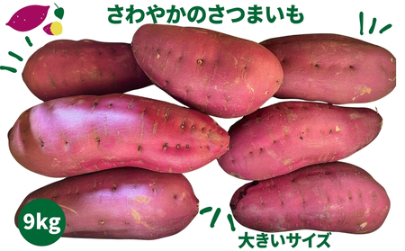 [予約受付中・2025年10月頃より順次発送]さわやかのサツマイモ 大きいサイズ 9kg
