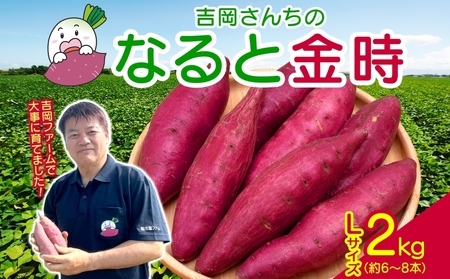 ug񂿂̂ȂƋv LTCY 2kg