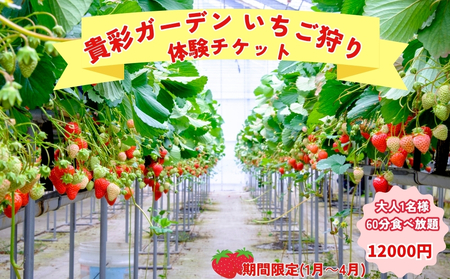 y͔|Ԓ_sgpzMʃK[f̌`Pbg