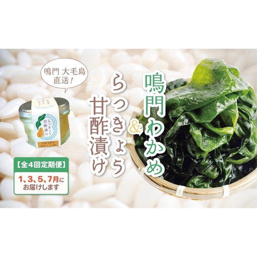 【全4回定期便】鳴門大毛島わかめ・らっきょうセット（1/3/5/7月）
