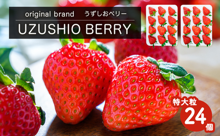 yE݂͂Izy2025N12{菇z t[cK[f܂̂ux[v嗱24  yʌz  t[c ʕ  C`S {̉ʕ G߂̉