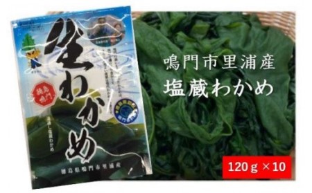 鳴門市里浦産塩蔵わかめ 120g×10袋