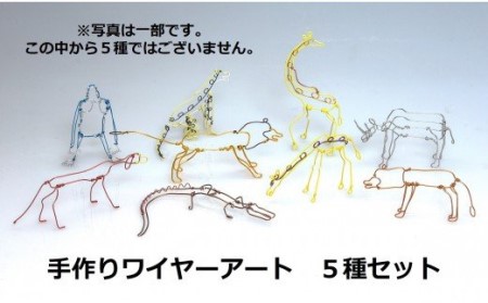 ワイヤーアート 5種類セット 恐竜5種セット