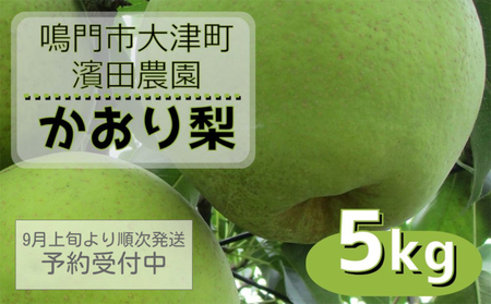 [濱田農園] かおり梨 約5kg [数量限定][予約受付中・9月上旬より順次発送] フルーツ 果物 梨 ナシ 旬の 秋の 旬フルーツ 秋 鳴門 徳島県産 果物 幻 和梨 香梨 新興 幸水 