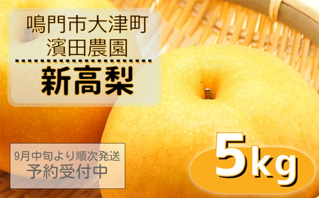 [濱田農園] 新高梨 約5kg [数量限定][予約受付中・9月下旬より順次発送]フルーツ 果物 梨 ナシ 完熟梨 季節の 旬の 秋 鳴門 完熟果物 季節 旬 秋 鳴門 フルーツ 濱田農園 