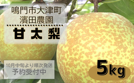 梨 甘太の返礼品 検索結果 | ふるさと納税サイト「ふるなび」