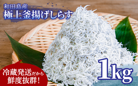 釜揚げ しらす 1kg 国産 徳島県産 和田島産 とれたて 新鮮 産地直送 冷蔵 発送 小分け 250g 4袋 セット 和田島しらす ちりめん 魚介類 魚 小魚 [北海道・東北・沖縄・離島への配送不可]