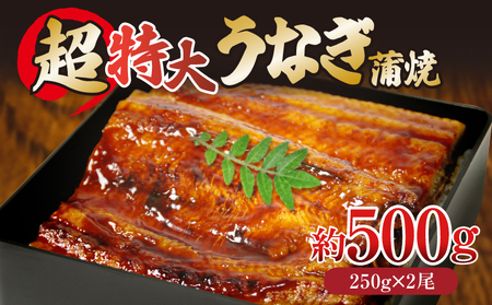 うなぎ 蒲焼き 特大 2尾 計500g 250g×2尾 ) ご飯にかける専用タレ付き! 冷凍