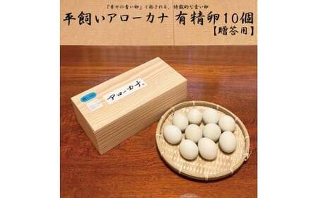 [徳島県産 卵]10個 卵 鶏 アローカナ 鶏卵 最強のTKG 高級 しあわせの青い卵 平飼い 採れたて 希少 国産 