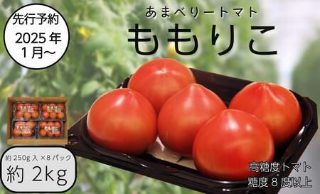 [先行予約] 2025年1月発送 ももりこトマト 約 2kg 約250g×8パック フルーツ トマト 赤 糖度 8以上 甘い 野菜 ジュース 健康