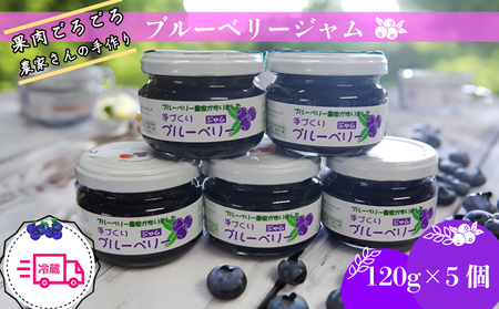 [2週間発送] 果肉ごろごろ ブルーベリージャム 120g×5個 ゲル化剤を不使用の手作りジャム!冷蔵便 四国 徳島 小松島 [送料無料]ゲル化剤 ペクチン 不使用 ブルーベリー ジャム 果肉 小分け 産地 直送 新鮮 夏 アイス シャーベット ソフトクリーム ジュース スムージー ヨーグルト 朝食 食パン パン 旬 ふるさと納税ブルーベリー ふるさと