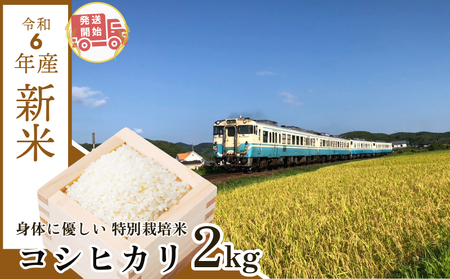 [2週間発送] 令和6年産 新米 白米 コシヒカリ 5kg 特別栽培米 新米限定発送 お試し 少量 小分け 四国 徳島 小松島 米 おいしい kome お米 こめ おこめ こしひかり 白米 精米 国産 ごはん ご飯 白飯 ゴハン 安心 安全 人気 コスパ おすすめ TKG 卵かけご飯 おにぎり おむすび 少ない 農薬 化学肥料