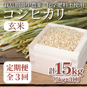 [定期便3回] 新米 玄米 コシヒカリ 計15kg 5kg×3回 定期便 栽培期間中無農薬 