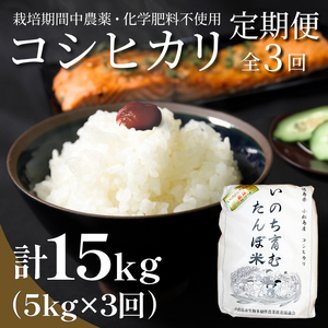 [定期便3回] 新米 米 コシヒカリ 計15kg 5kg×3回 精米したて お米 定期便