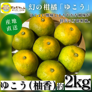 ゆこう 2kg 柑橘 徳島 みかん 柚子 すだち 酢 お酢 果汁 お酒 焼き魚 さっぱり オーガニック ふるさと納税 人気 (すだち ゆず ゆず 酢 秋 秋 )