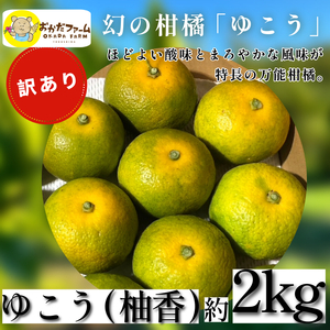 訳あり ゆこう 2kg 柑橘 徳島 みかん 柚子 すだち 酢 お酢 果汁 お酒 焼き魚 さっぱり オーガニック ふるさと納税 人気 (ゆず すだち ゆず 酢 秋 冬 秋 冬 )