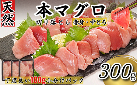 天然本まぐろ 切り落とし 300g(100g×3P) マグロ 本まぐろ 中とろ 赤身 天然 鮪 小分け 冷凍 刺身 漬け 晩酌 寿司 ユッケ マグロ丼 ねぎとろ 海鮮