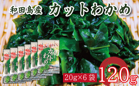 カットわかめ 120g ( 20g × 6袋 ) 鳴門 海域 ワカメ 塩蔵 わかめ 湯通し 国産 天然 みそ汁 味噌汁 スープ 酢の物 サラダ 刺し身 海鮮 料理 海藻 小分け 個包装 和田島漁協 徳島県 小松島市