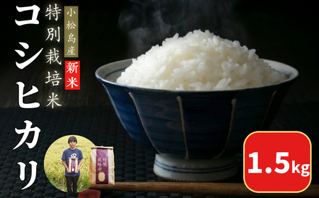 [2025年9月順次発送]令和7年産 新米 白米 1.5kg 特別栽培米 コシヒカリ コシヒカリ コシヒカリ コシヒカリ コシヒカリ