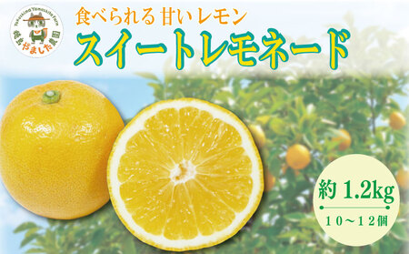 【2025年10月順次発送】 スイートレモネード 1.2kg (10～12個)  レモン れもん 檸檬 柑橘 フルーツ 果物 完熟 国産 新鮮 果汁 レモンサワー お酒 ハイボール レモネード ジュース 酎ハイ ケーキ 揚げ物 唐揚げ 小松島 徳島
