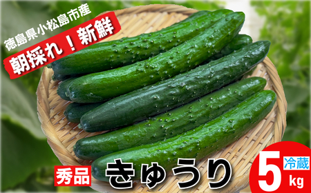 イ Gi 5kgȏi54{jVN ̂ イ s  Ė Yn 5kg |̕ ӉZ LE 