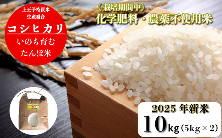 [令和7年産新米]米 コシヒカリ 10kg(5kg×2) 天皇献上米 (栽培期間中)化学肥料・農薬不使用米 こめ こめ こめ こめ こめ こめ