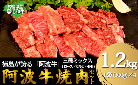  g ēp~bNXi[XEJrEjЂ 1.2kgi300g×4j Y  Jr t _炩 ~   ē BBQ Ⓚ  [X s