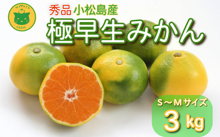 [2025年9月20日以降発送] みかん 秀品 極早生みかん 3kg 蜜柑 ミカン 柑橘 旬