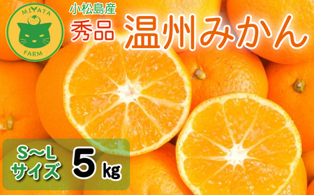 [2025年11月順次発送] みかん 秀品 温州みかん5kg みかん みかん みかん みかん みかん