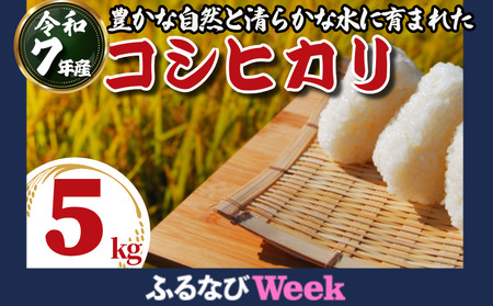 [ふるなびWEEK対象]令和7年産 米 コシヒカリ 5kg 先行予約 2025年9月発送 新米 こしひかり 白米 FN-Limited