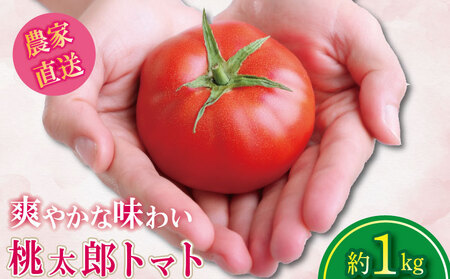 [2026年1月発送] 桃太郎トマト 約1kg 桃太郎 先行予約 甘い 野菜 やさい 国産 産地直送