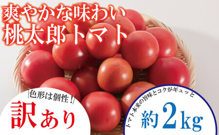y󂠂zy2026N1z Yg}g 2kg Y s\ Â  ₳ Y