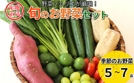 野菜 5〜7種セット 旬の野菜 詰め合わせ おまかせ 新鮮 採れたて 産地直送