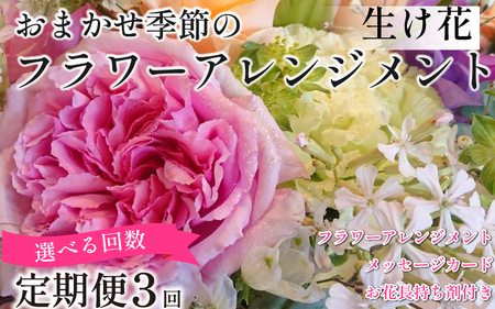 季節の 花 フラワーアレンジメント 定期便 3回 花