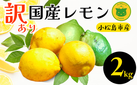 �󂠂背���� 2kg 2025�N10���������� ���Y ������