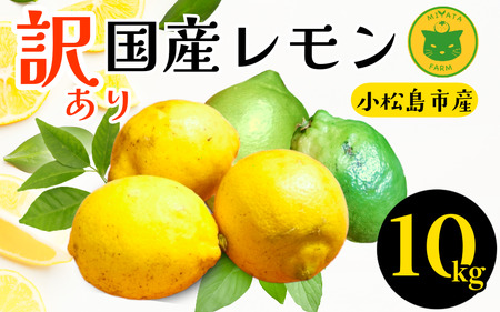 󂠂  10kg 2025N10 Y 