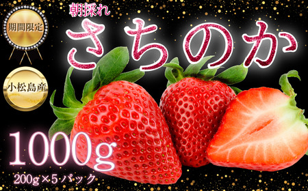 [2026年2月中旬順次発送] さちのか いちご 1kg 苺 イチゴ ストロベリー strawberry