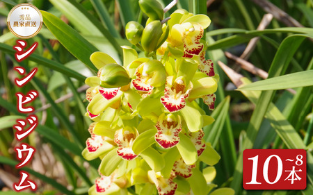 VrWE 8`10{    VrW[ Gi