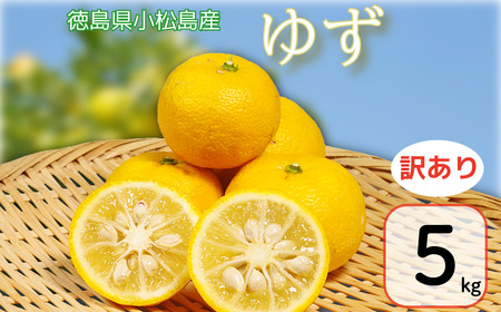 �y�󂠂�z�䂸 5kg �M�q �䂸 �t���[�c �ʕ� ���k