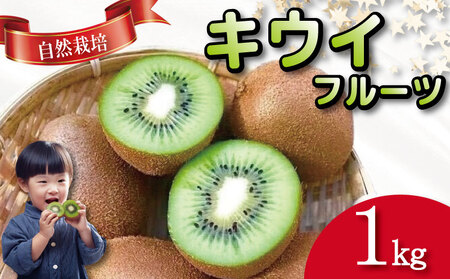 キウイフルーツ 1kg キウイ