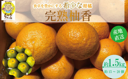 ���n �M�� �䂱�� 1.5kg ���k �M�� �M��