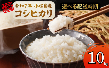 [配送時期が選べる]米 コシヒカリ 10kg 小松島市 令和7年産 精米 白米 お米