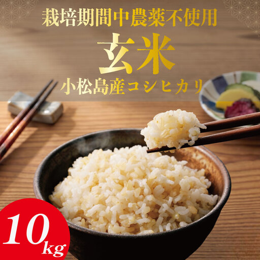 【令和7年産】玄米 10kg コシヒカリ 令和7年産 米 こめ ご飯 ごはん おにぎり 卵かけご飯 白米 栽培期間中農薬不使用 食品 備蓄 備蓄米 保存 防災 ギフト 贈答 プレゼント お取り寄せ グルメ 送料無料 徳島県