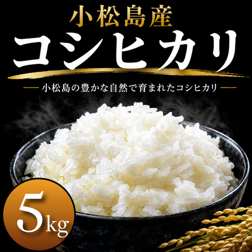 令和7年産 コシヒカリ 5kg 白米 米 数量 限定 こしひかり 5キロ 米5kg おにぎり