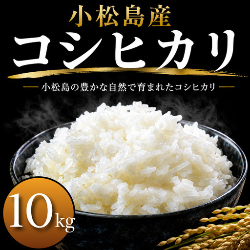 令和7年産 コシヒカリ 10kg 白米 米 数量 限定 こしひかり 10キロ 米10kg 小松島市
