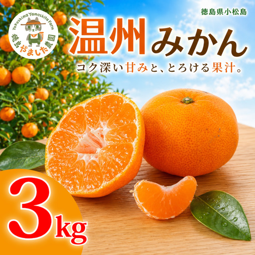 [2026年12月順次発送]温州みかん 3kg 完熟 みかん