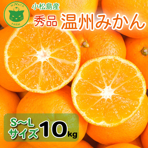 【2026年12月発送】秀品 温州みかん 10kg みかん