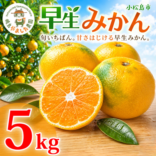 [先行予約][2026年10月下旬順次発送] 早生みかん 5kg みかん 早生 柑橘 果物 国産 農家直送 徳島県 小松島市