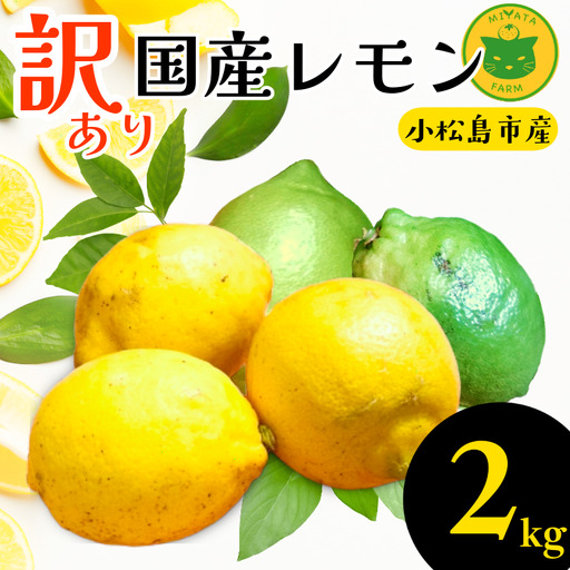 [2026年11月発送]訳あり レモン 2kg 国産 柑橘