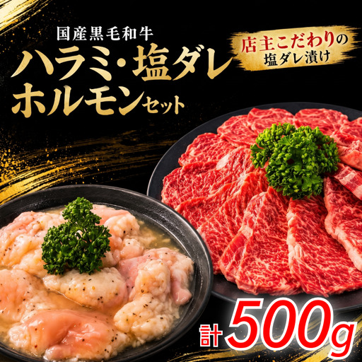 国産黒毛和牛 ハラミ・塩ダレホルモンセット計500g 肉 国産 阿波牛